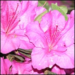 DSCN0066.JPG